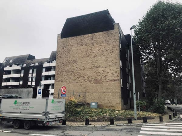 Abattage d'arbre - après
