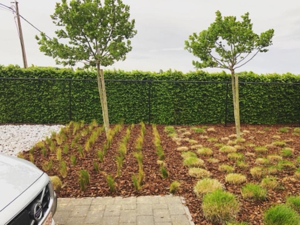 Réalisation plantation